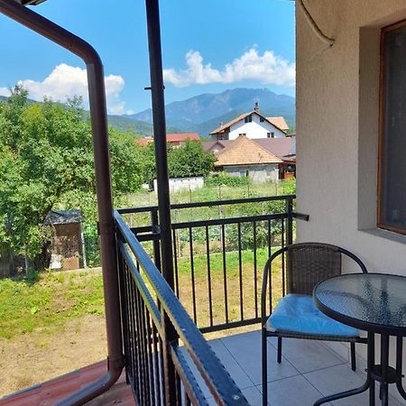 CălimăneştiCasa Zoe Seaca别墅 外观 照片