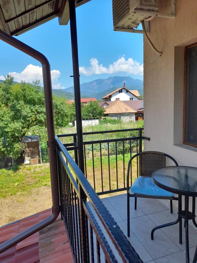 CălimăneştiCasa Zoe Seaca别墅 外观 照片